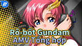 [Rô-bốt Gundam]SEED & Destiny/AMV chính thức Tổng hợp_A2