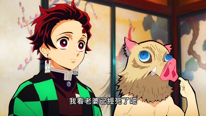 猪猪和善逸智商在线，天元认真一拳