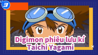 [Digimon phiêu lưu kí] Taichi Yagami Trong ánh mắt của 7 người_3