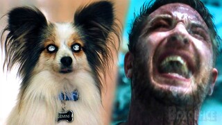 Venom possesses a PUPPY | Venom | CLIP 🔥 4K