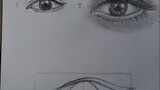 eyes tutorial drawing