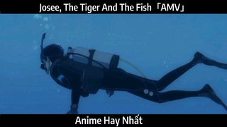 Josee, The Tiger And The Fish「AMV」Hay Nhất