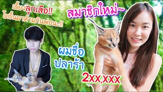 เปิดตัวสมาชิกใหม่เก๋ไก๋สไลเดอร์"ปลาร้า"