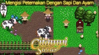 Mengelola Peternakan Sapi Dan Peternakan Ayam |Citampi Stories Part 62