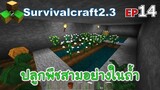 ปลูกพืชสามอย่างในถ้ำ Survivalcraft 2.3 ep.14 [พี่อู๊ด JUB TV]