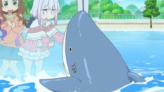 鲨鱼神助攻