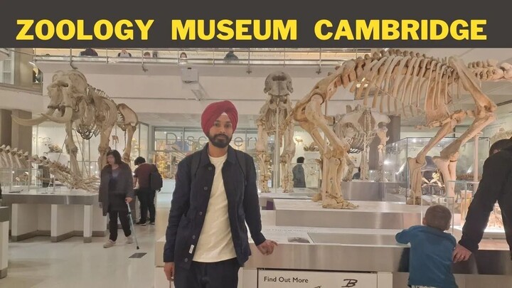 Zoology Museum Cambridge London UK Apna Business Harpreet Singh