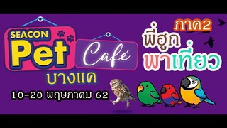 รีวิวนกแก้ว : PET CAFE @SEACON พาเที่ยวชมภายในงานสัตว์เลี้ยง ภาค2 EP.51