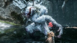 Sekiro Shadows Die Twice - Guardian Ape / No Damage