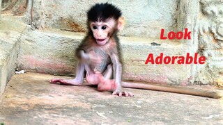 Oh Tiny Baby Monkey Is Really Cute And Adorable, Sario Baby Hard To Play With Papa Chamon