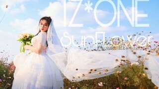 【IZONE】秋季单回归⭐向日葵⭐想在婚礼的时候放这首歌，倘若有机会结婚的话