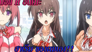 สปอย H อนิเมะ สาว ๆ นี้ฮาเร็มผมเอง !! ตอนที่ 1-2 (จบ)