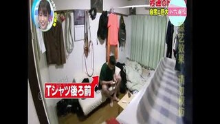 Japanese prank huge bat appeared in your room