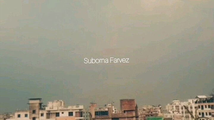 😌🕊️