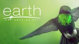 Earth: One Amazing Day เอิร์ธ 1 วันมหัศจรรย์สัตว์โลก