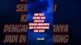 One Piece Sering Kali Katch Up dengan Manganya, jadi di buat perpanjang gak jelas