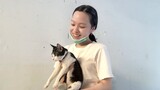 Main Sama Kucing Jam 3 Pagi?! [Roblox Indonesia]