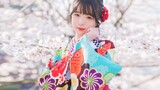 【Lạc đà】 Giấc mơ và Lá Sakura 【Kyoto】