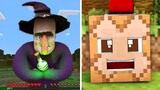 Best Minecraft Animations OF ALL TIME! #3