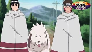 naruto shipp. Tdub ep. 205-206