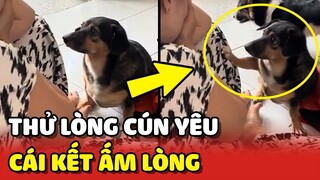 Bà ngoại GIẢ VỜ KHÓC để THỬ LÒNG cún yêu và cái kết ẤM LÒNG 😍 | Yêu Lu