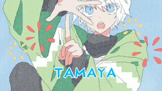 【Summer Five Handbook】TAMAYA