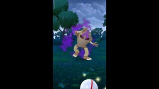 Pokémon GO-Shadow Hitmonlee