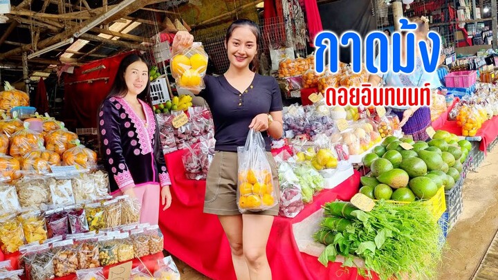 ตลาดม้งผลไม้แปลกตาสู่จุดสูงที่สุดในประเทศไทยดอยอินทนนท์ครั้งแรกของน้องพลอย  #เดินทางตามลมสายฝน123