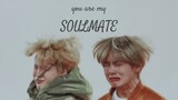 vmin — what's a soulmate?