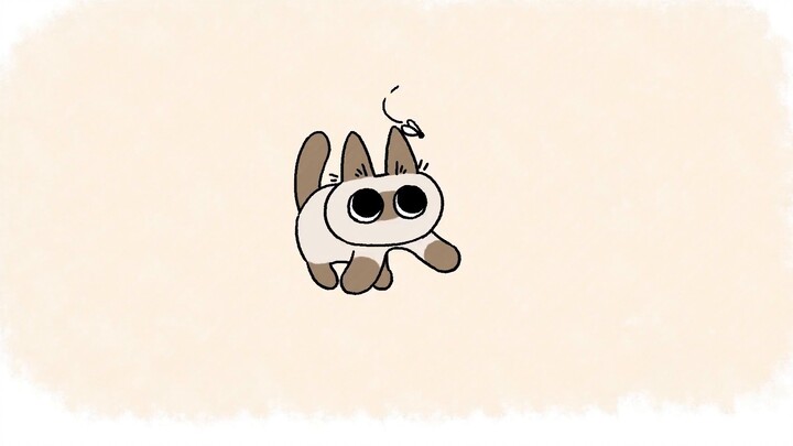 [Kucing siam Xiaodoumu] Animasi ketiga Xiaodoumu masih sangat lucu! (Episode pertarungan sengit)