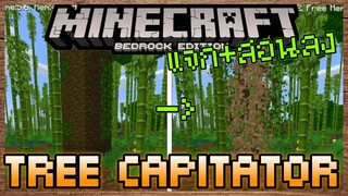 แจก+สอนลง Minecraft PE Addon ตัดไม้เร็วทีเดียวหายทั้งต้น Tree Capitator