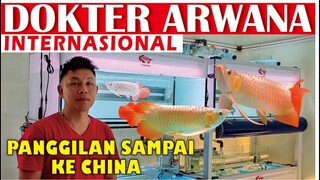 DOKTER OPREK ARWANA SUPER RED KELAS INTERNASIONAL