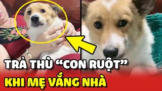 Cận cảnh con Sen TRẢ THÙ "CON RUỘT" của mẹ khi mẹ vắng nhà 😂 | Yêu Lu