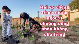 Hai vợ chồng trồng bí ngòi, ớt chuông làm vườn cũng gây nhau/ Cuộc sống pháp