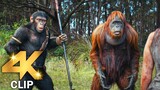 She Called My Name Scene | KINGDOM OF THE PLANET OF THE APES (2024) Movie CLIP 4K