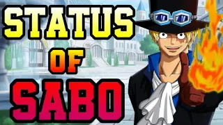 The Status of Sabo!! - One Piece Discussion | Tekking101