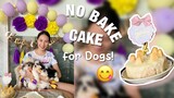 PAANO GUMAWA NG NO BAKE CAKE FOR DOGS | MADALI LANG AT MURA PA 🐶