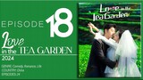 🇨🇳EP18 Love In The Tea Garden (2024)