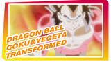 Dragon Ball
Goku&Vegeta transformed