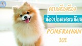 ปอม เมอเรเนียน ครบเครื่องเรื่องน้องปอม Pomeranian 101 SudPad-Dog