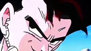 Vegito and Gogeta vs. Random Characters