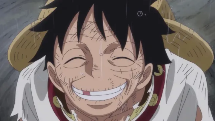 One Piece Captain And Luffy Nami Trouble Maker Bilibili