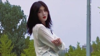 【XYN1229】擦不动真的擦不动……/Wiggle Wiggle路演直拍