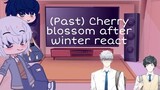 (Past) Cherry blossom after winter react // •Glosswings•
