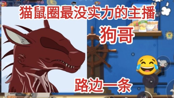 盘点猫鼠最没实力的主播，第一名狗3狗
