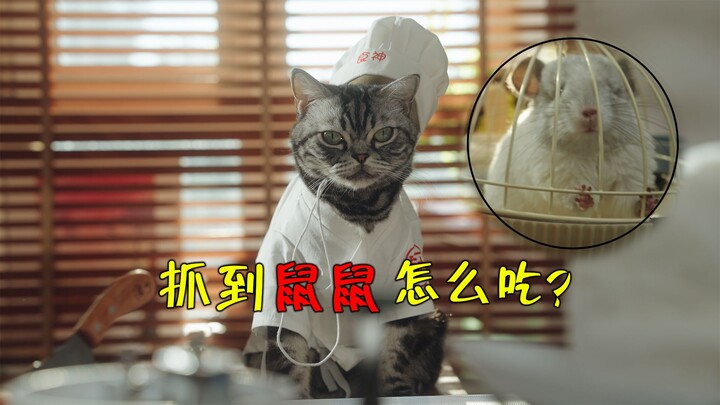 猫：抓到鼠鼠 可以分几步食用？