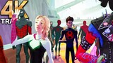 SPIDER MAN ACROSS THE SPIDER VERSE "All Multiverse Spider Man Loves Gwen Stacy" (4K ULTRA HD) 2023