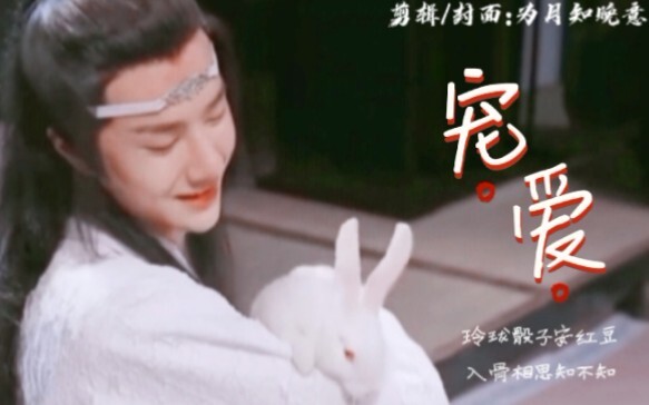 【羡忘/双洁/HE】（青梅竹马婚后小甜剧）温柔宗主羡vs青梅竹马湛