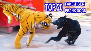 Top 20 Prank Dog! Fake Tiger vs Sleep Dog - Very Funny Must Watch 2021