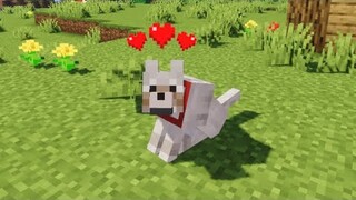 Tôi Nhặt Được 1 Chú Chó Con Trong Rừng !!! Minecraft Sinh Tồn ( Tập 2 )